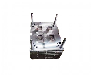 1210 plastic injection trayer mould mold